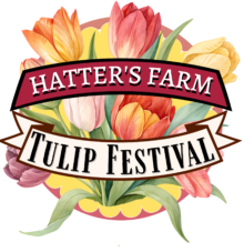 Hatters tulip logo no back ground
